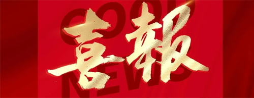 中国·8827太阳集团电气同轴主辅高低压无刷同步发电机获国家授权发明专利！