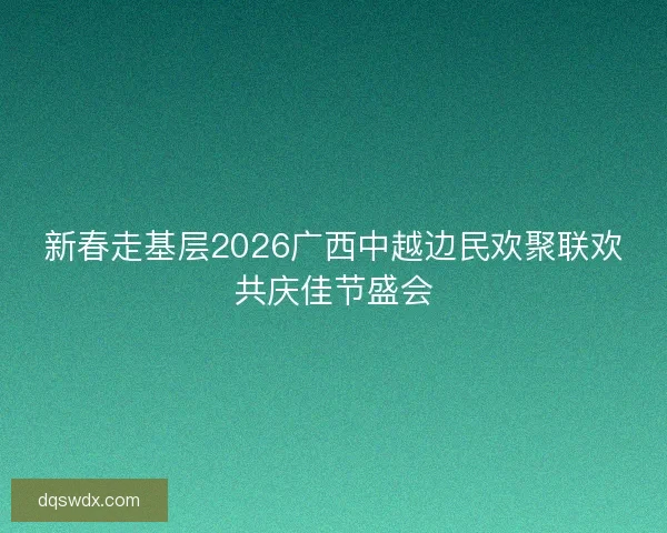 新春走基层2026广西中越边民欢聚联欢共庆佳节盛会