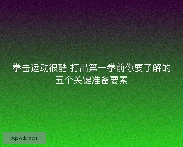 拳击运动很酷 打出第一拳前你要了解的五个关键准备要素